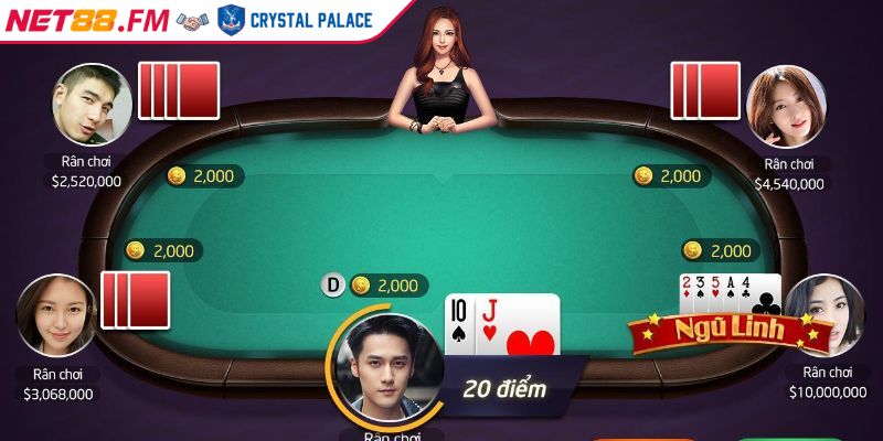 Xì Dách NET88 | Trải Nghiệm Đỉnh Cao Game Bài Xanh Chín 4 Am hiểu luật chơi nền tảng cho mọi chiến thắng