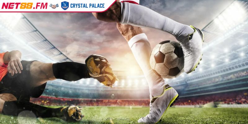 K-Sports Net88 | Sảnh Cá Cược Thể Thao Đẳng Cấp Số 1 2 Sảnh cá cược K-Sports là gì?
